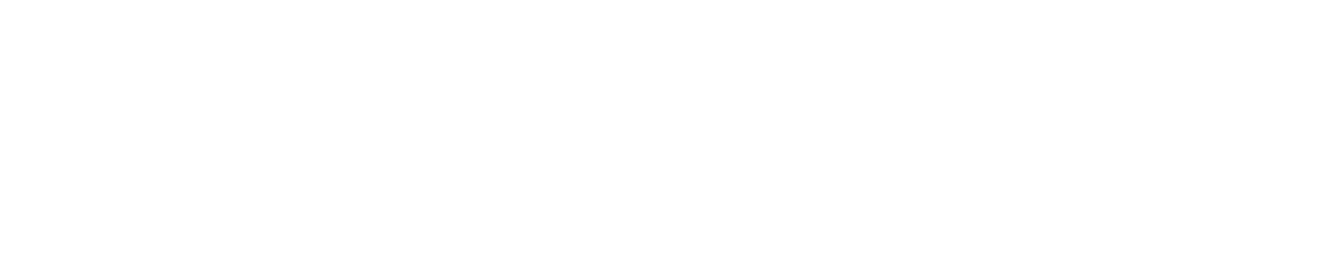 Логотип ЛидерПром Футер
